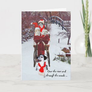 Cartes Pour Fêtes Annuelles Sleigh Ride Kitties