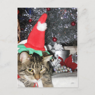 Cartes Pour Fêtes Annuelles Slim Kitty Elf & Tinsel Tree