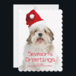 Cartes Pour Fêtes Annuelles Smiling Lhasa Apso Dog Wearing Santa Hat<br><div class="desc">Lhasa Apso Dog Wearing Santa Hat</div>