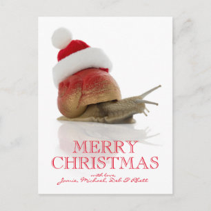 Cartes Pour Fêtes Annuelles Snail de Noël