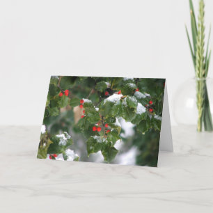 Cartes Pour Fêtes Annuelles Snow Berries