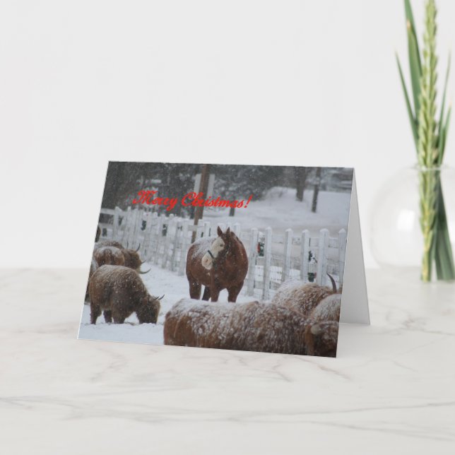Cartes Pour Fêtes Annuelles Snow horse, Merry Christmas ! (Devant)
