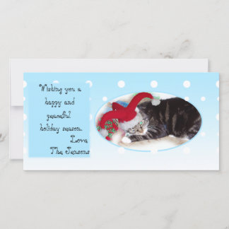 Cartes Pour Fêtes Annuelles Snowball pet holiday card