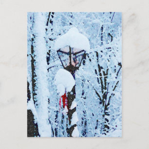 Cartes Pour Fêtes Annuelles Snowboard de Noël