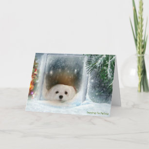Cartes Pour Fêtes Annuelles Snowdrop the Maltese Christmas Card