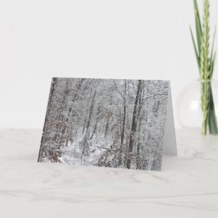 Cartes Pour Fêtes Annuelles Snowfall in SC mtns