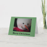 Cartes Pour Fêtes Annuelles Snowman souriant<br><div class="desc">Un joli bonhomme de neige souriant saute du devant de cette carte de Noël !</div>
