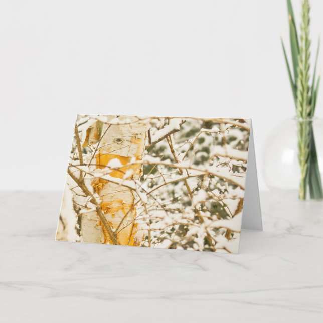 Cartes Pour Fêtes Annuelles Snowy Birch (Devant)