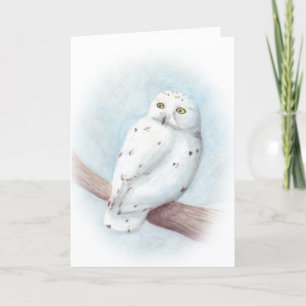 Cartes Pour Fêtes Annuelles Snowy owl