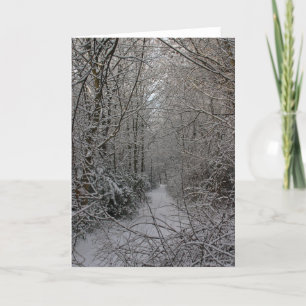 Cartes Pour Fêtes Annuelles Snowy Woods