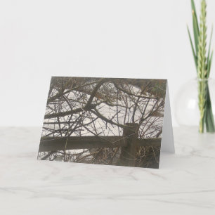 Cartes Pour Fêtes Annuelles Snowy Woods