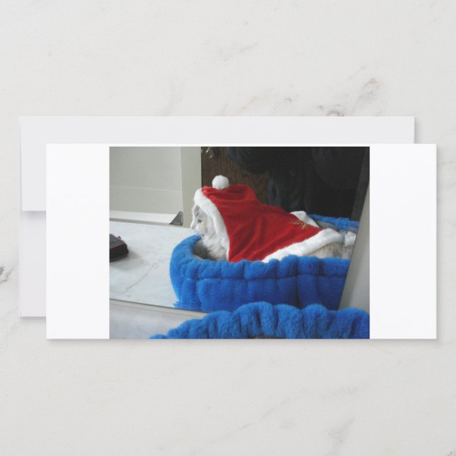 Cartes Pour Fêtes Annuelles Snuggler est des pattes de Père Noël (Devant)