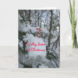 Cartes Pour Fêtes Annuelles Soeur Sucre de canne de Noël