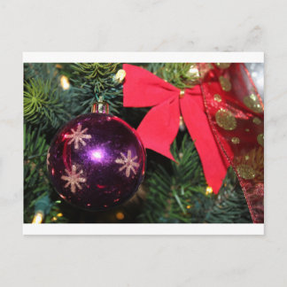 Cartes Pour Fêtes Annuelles Soin de Noël