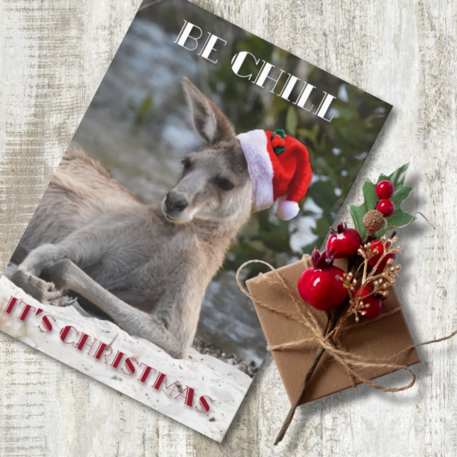 Cartes Pour Fêtes Annuelles Sois froid C'est Noël Kangaroo (Créateur téléchargé)