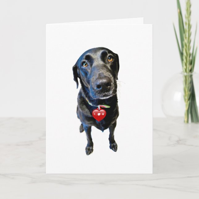 Cartes Pour Fêtes Annuelles Sois ma Saint Valentin (Devant)