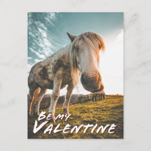Cartes Pour Fêtes Annuelles Sois mon Valentin au cheval regardant