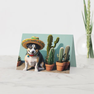 Cartes Pour Fêtes Annuelles sombrero perro