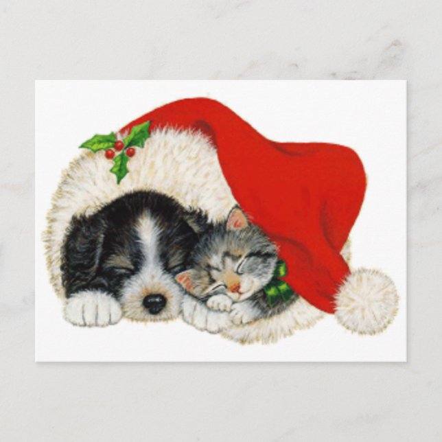 Cartes Pour Fêtes Annuelles Sommeil mignon de chiot et de chaton dans un (Devant)