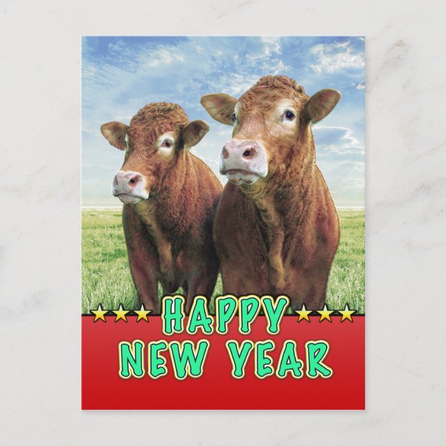 Cartes Pour Fêtes Annuelles Sorcière de BONNE ANNÉE les garçons de vache (Devant)
