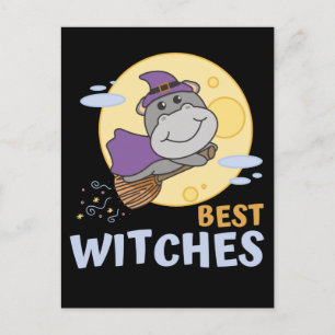 Cartes Pour Fêtes Annuelles Sorcière d'Halloween Hippo Enfants Meilleures sorc