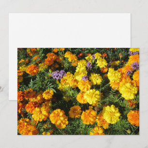 Cartes Pour Fêtes Annuelles Soucis