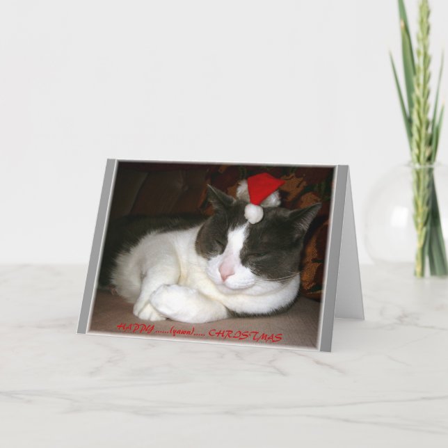 Cartes Pour Fêtes Annuelles Souhait de Noël d'un chat (Devant)
