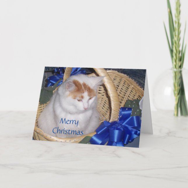 CARTES POUR FÊTES ANNUELLES SOUHAITÉ DE NOËL PURRFECT (Devant)