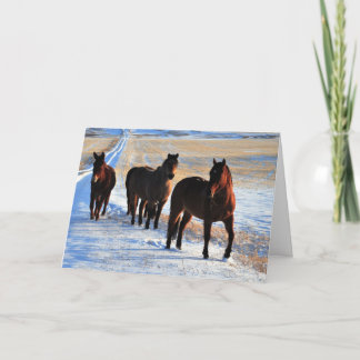 Cartes Pour Fêtes Annuelles Souhaits de Noël