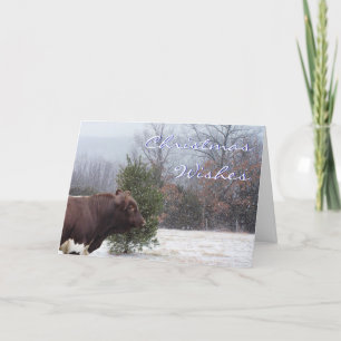 Cartes Pour Fêtes Annuelles Souhaits de Noël enneigés-personnaliser