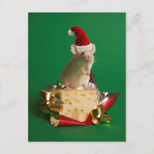 Cartes Pour Fêtes Annuelles Souris avec casquette Père Noël avec fromage