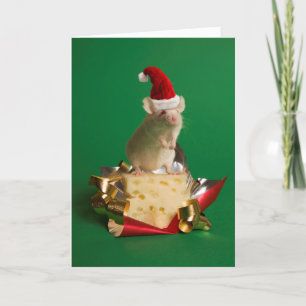 Cartes Pour Fêtes Annuelles Souris avec le casquette de Père Noël avec du