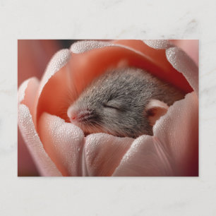 Cartes Pour Fêtes Annuelles Souris des moissons endormie à l'intérieur d'une t