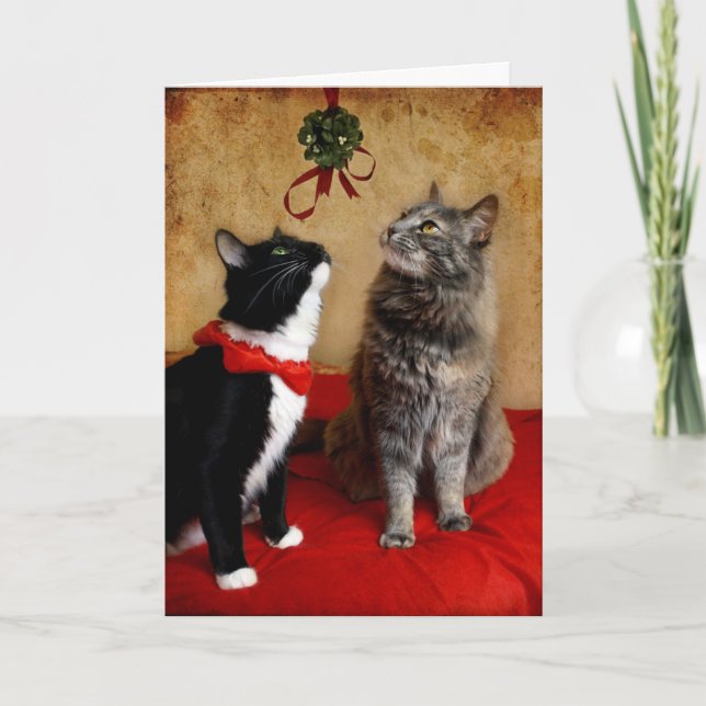 Cartes Pour Fêtes Annuelles Sous le gui (Devant)