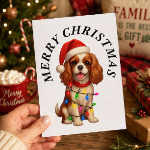 Cartes Pour Fêtes Annuelles Spaniel Cavalier King Charles Joyeux Noël