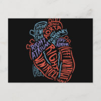 Spécialiste du cœur Anatomie Médecin Biologie médi