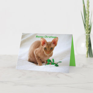 Cartes Pour Fêtes Annuelles Sphinx Cat