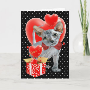 Cartes Pour Fêtes Annuelles Sphynx Box ou Hearts Valentine Cards