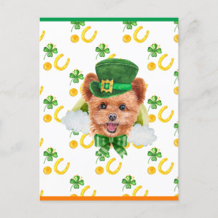 Cartes Pour Fêtes Annuelles Spitzpoo Shamrock St. Patricks Day