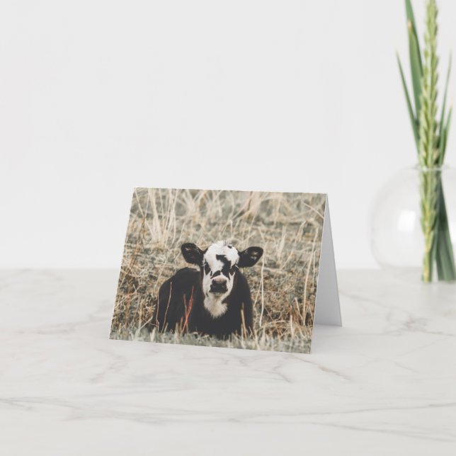 Cartes Pour Fêtes Annuelles Springtime Calf - 4" x 5.6" Notecard (Devant)