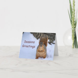 Cartes Pour Fêtes Annuelles SquirlChristmas