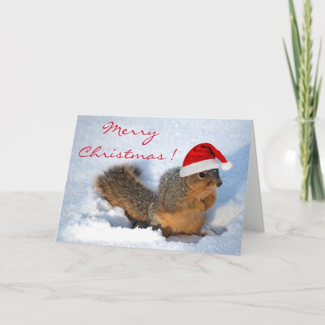 Cartes Pour Fêtes Annuelles Squirrel Holiday (Devant)