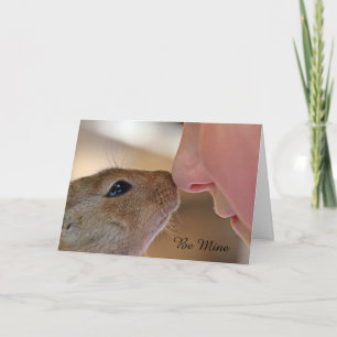 Cartes Pour Fêtes Annuelles Squirrel Love Be Mine Saint Valentin