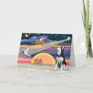 Cartes Pour Fêtes Annuelles Star de Noël - Siberian Husky 1