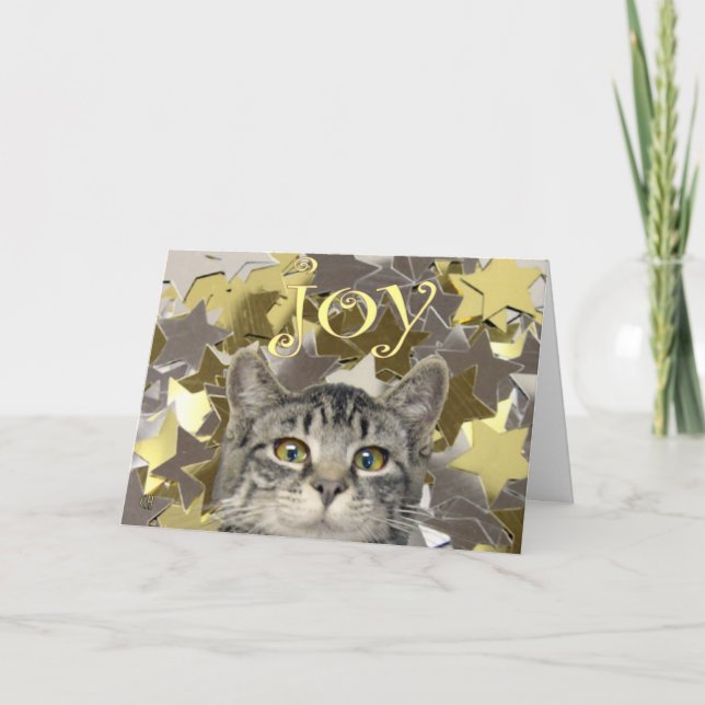 Cartes Pour Fêtes Annuelles Star Kitten (Devant)