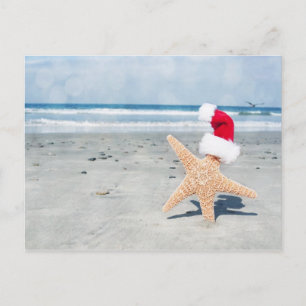 Cartes Pour Fêtes Annuelles Starfish Beach Christmas