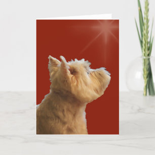 CARTES POUR FÊTES ANNUELLES STARSTRUCK WESTIE
