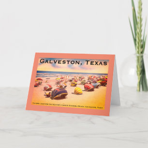Cartes Pour Fêtes Annuelles Steward Beach, Galveston, Texas