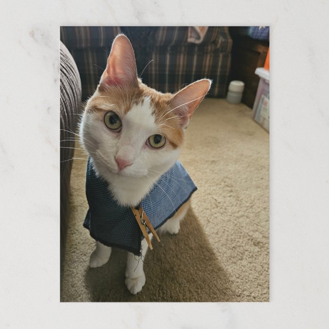 Cartes Pour Fêtes Annuelles Stop Embarrassing Me! Postcard (Créateur téléchargé)