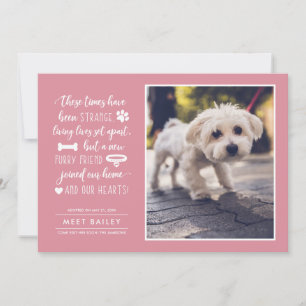 Cartes Pour Fêtes Annuelles Strange Times New Pet Photo Announcement  